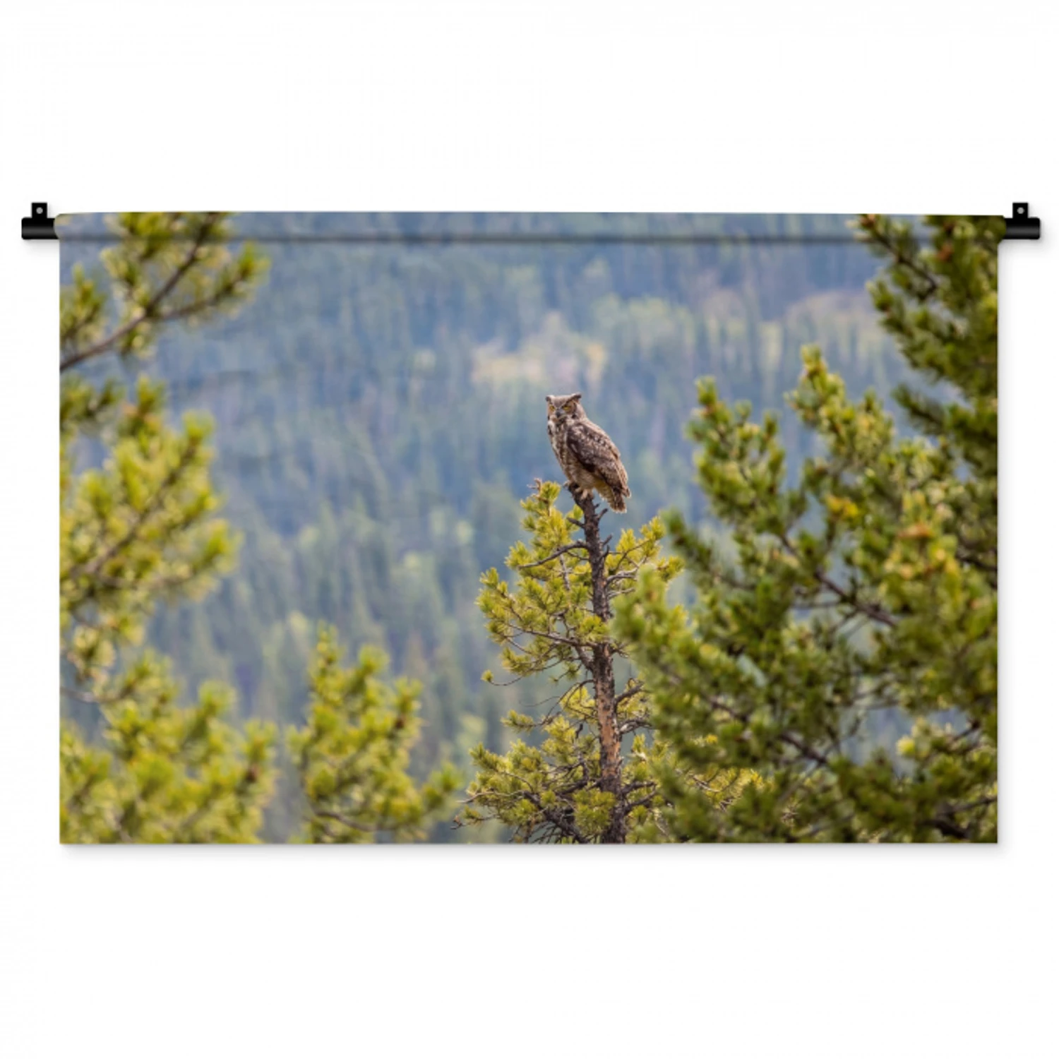 Uil - Oehoe - Bomen - Natuur Wandkleed katoen middel -zz3d