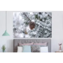 Dennenappel - Tak - Sneeuw - Winter - Sfeervol forex 5mm xxl -slaapkamer