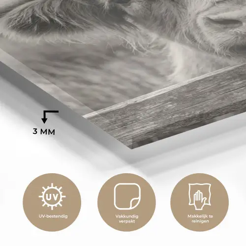 Schotse hooglander - Zwart - Wit - Hout plexiglas 5mm klein -sfeer2