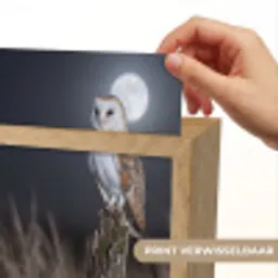 Kerkuil - Maan - Nacht Light Box met kabel (Kinderlampje) klein -USP_websiteprintNL