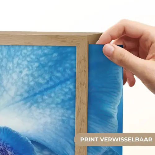 Blauw - Orchidee - Elegeant Light Box met batterij (Wandlamp) middel -USP_websiteprintNL