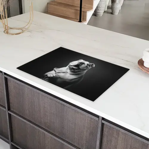 Buldog - Hond - Glas Inductie beschermer vinyl 3mm klein -sfeer8