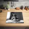 Konijn - Bunny - Zonnebril - Tafelkleed - Pasta - Schattig Inductie beschermer vinyl 3mm middel -sfeer5