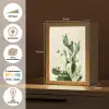 Cactus - Groen - Minimalistisch Light Box met kabel (Tafellamp) klein -USP_websiteoverzichtNL