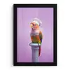 Papegaai - Koksmuts - Pilaar - Vogel fotolijst zwart zonder passe partout klein -3d