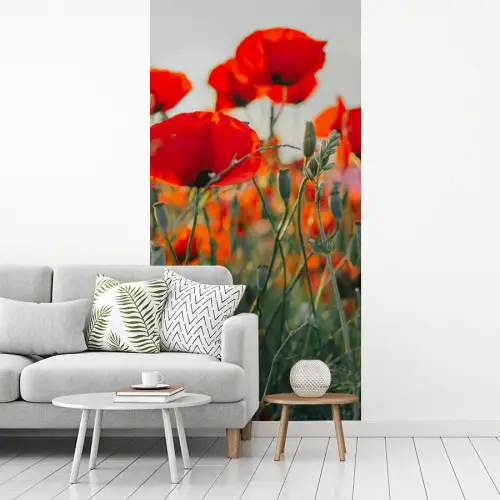 Klaproos - Bloemen - Wilde bloemen fotobehang vinyl groot -woonkamer