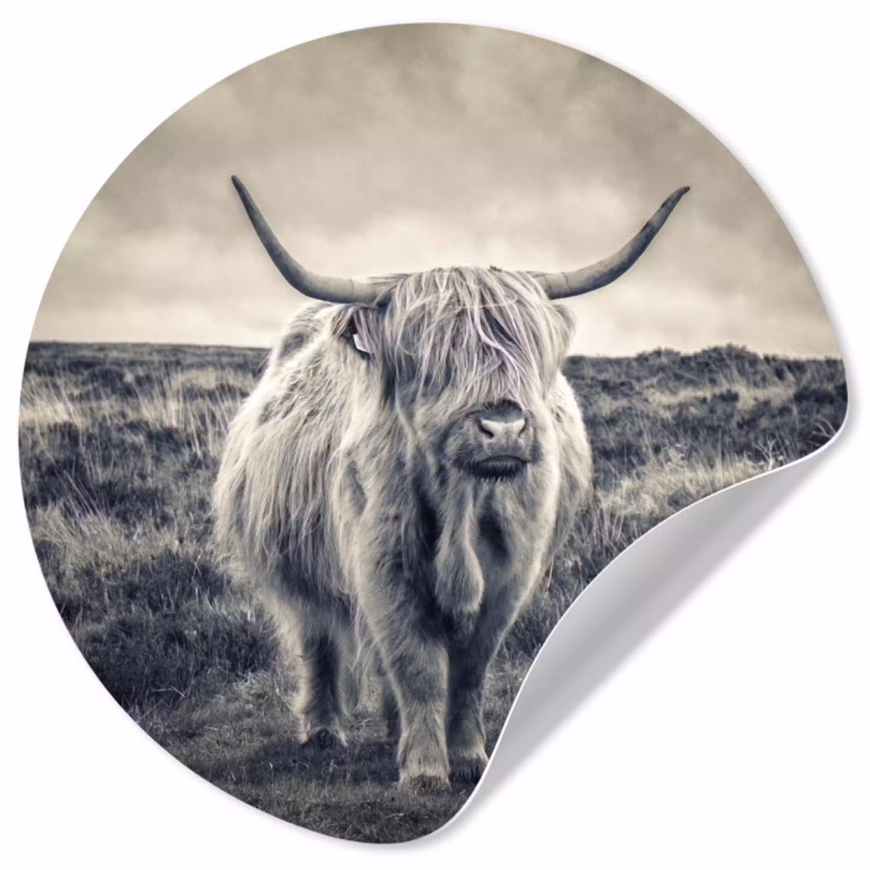 Schotse hooglander - Dieren - Wolken - Koe - Natuur Wandcirkel behangsticker klein -3d