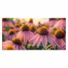 Bloemen - Paars - Bijen Muismat XXL klein -3d_leeg