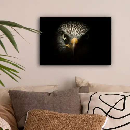Vogel - Adelaar - Roofvogels - Oog - Snavel - Licht canvas 2cm klein -sfeer1