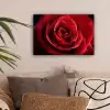 Rood - Roos - Romantisch canvas 2cm klein -sfeer1
