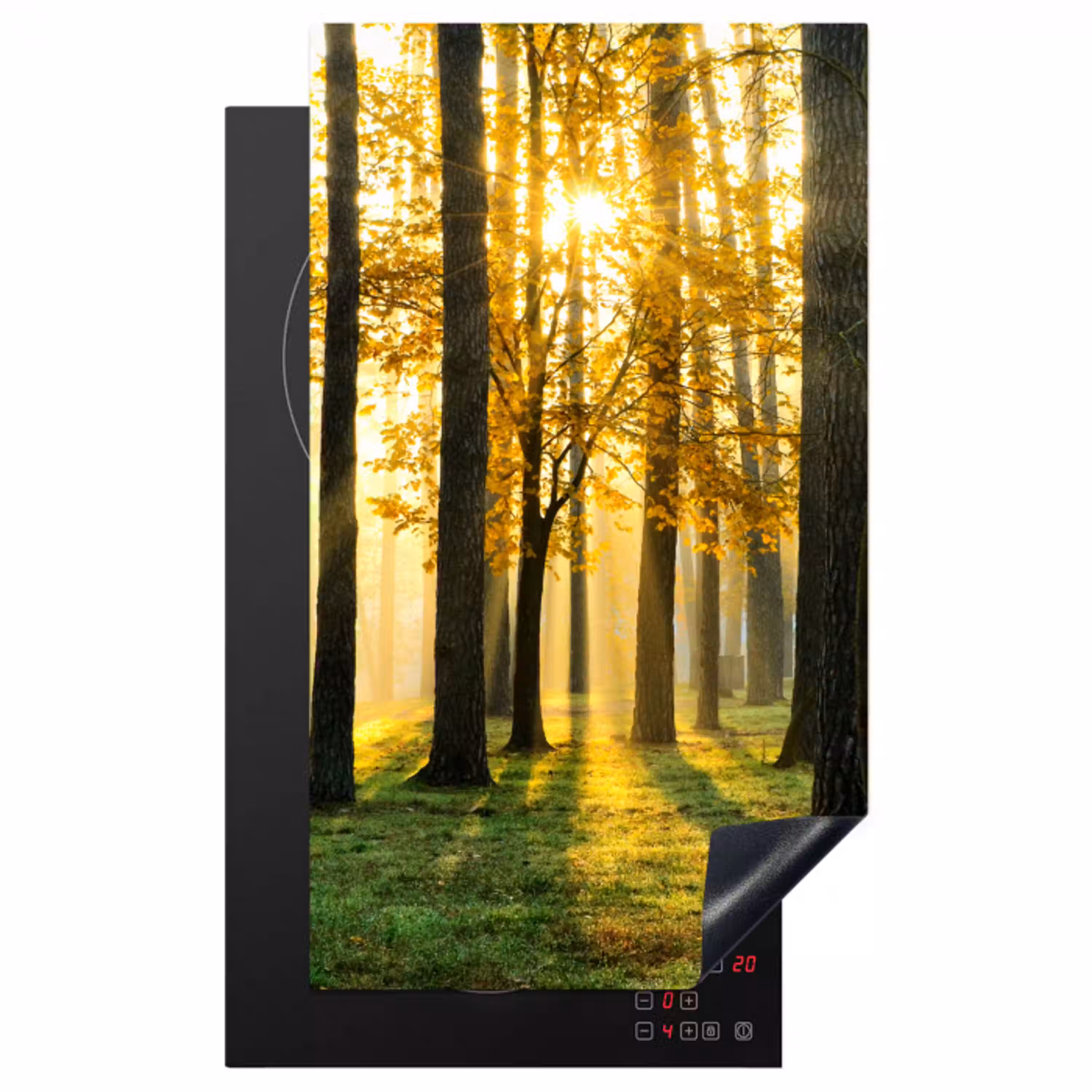 Bos - Zon - Bomen - Gras - Landschap  - Natuur Inductie beschermer vinyl 3mm middel -3d