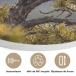 Zeearend - Boom - Bergen - Groen Akoestische PET Vilt - Rond klein -closeup_FR