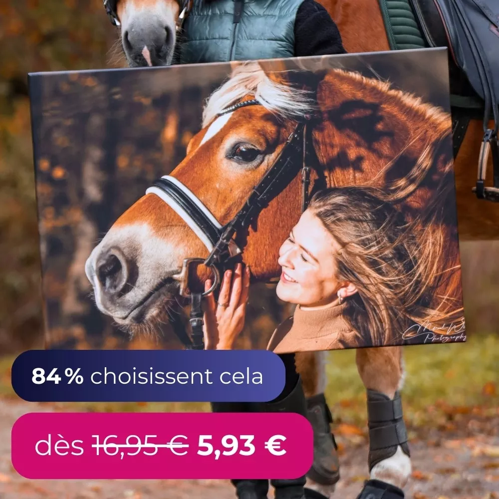 84% choissent cela, des 16,95  € 5,93  €