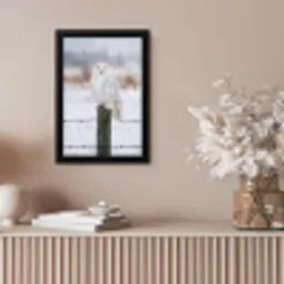 Sneeuwuil - Hek - Sneeuw - Wit fotolijst zwart zonder passe partout klein -sfeer5