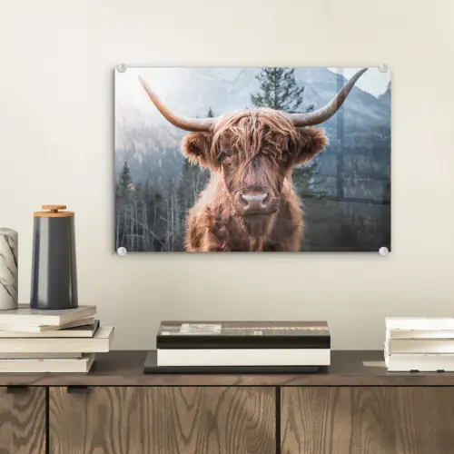 Schotse hooglander - Koe - Dieren - Berg - Natuur plexiglas 5mm klein -sfeer1