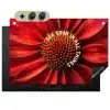 Close up - Bloem - Quote - Rood Inductie beschemer met haakjes klein -3d
