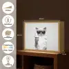 Kat - Zonnebril - Wijnglas - Langharig Light Box met batterij (Wandlamp) middel -USP_websiteoverzichtNL