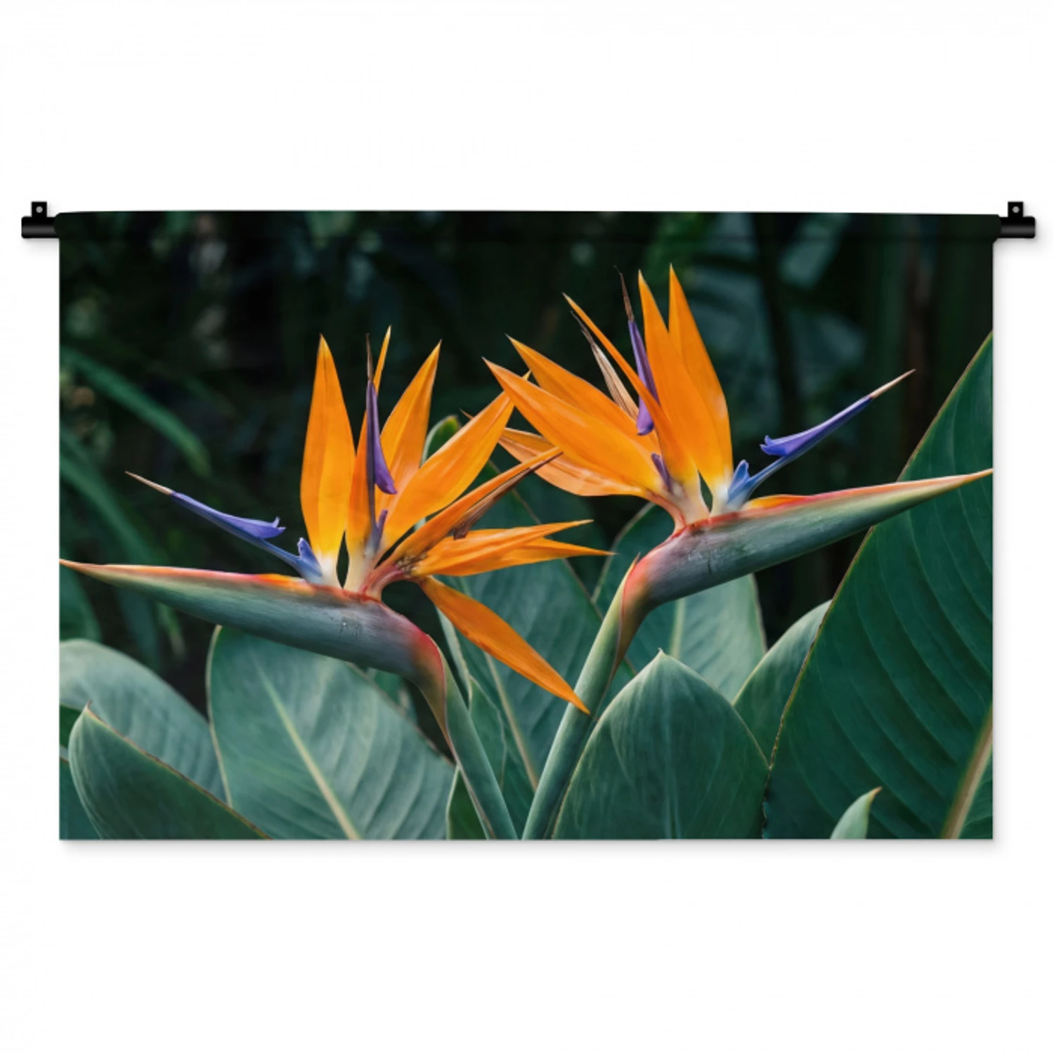 Paradijsvogel - Bloem - Exotisch Wandkleed katoen middel -zz3d