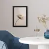 Bloem - Beige - Crème fotolijst zwart zonder passe partout klein -sfeer4