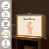 Oranje - Dino - T-Rex  - Stippen Light Box met batterij (Wandlamp kind) middel -USP_websiteoverzichtNL