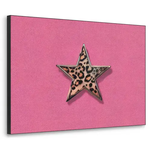 Ster - Luipaard - Print - Roze Textielframe - compleet frame klein -3d