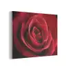 Rood - Roos - Romantisch PET vilt klein -3d
