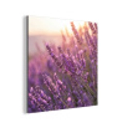 Lavendel - Paars - Zonlicht aluminium wit klein -3d