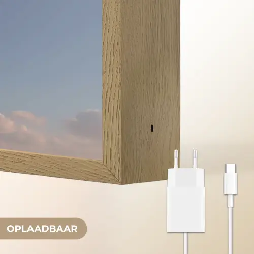 Dolfijn - Roze - Astronaut Light Box met batterij (Wandlamp) middel -USP_websiteoplaadbaarNL