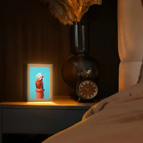 Ara - Koksmuts - Sokkel - Grappig Light Box met kabel (Tafellamp) klein -sfeer1
