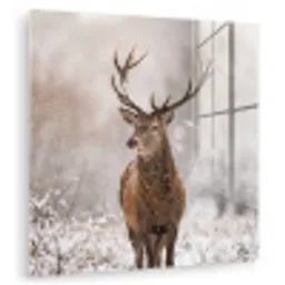 Edelhert - Bos - Sneeuw - Winter - Majestueus plexiglas 5mm klein -zzzproduct_nieuw