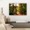 Bos - Pad - Bomen - Groen - Zon - Natuur canvas 2cm klein -sfeer6