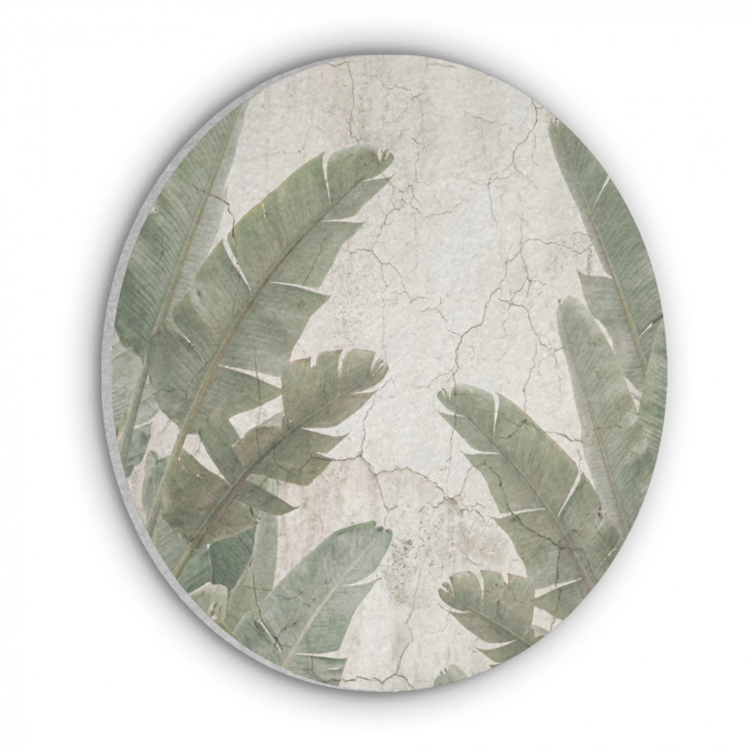 Bananenbladeren - Beton - Groen Akoestische PET Vilt - Rond klein -3d