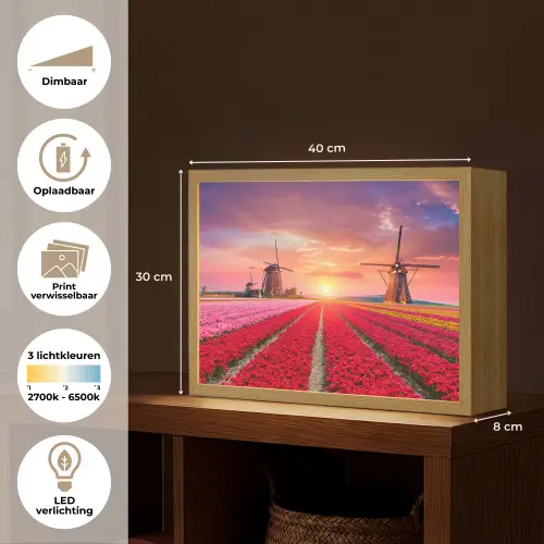 Bloemen - Tulpen - Bloemenveld - Molens - Holland Light Box met batterij (Wandlamp) middel -USP_websiteoverzichtNL