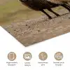 Schapen - Bruin - Wit - Grindpad poster papier klein -closeup_NL