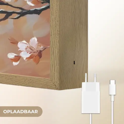 Bloesemtakken - Schilderachtig - Roze Light Box met batterij (Wandlamp) middel -USP_websiteoplaadbaarNL
