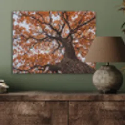 Boom - Bladerdak - Herfst - Oranje - Sfeervol PET vilt klein -sfeer2