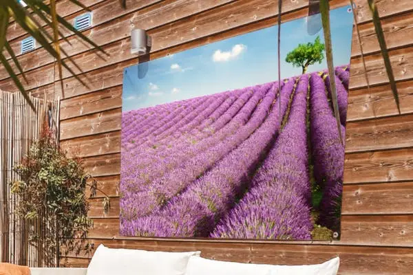 Tuinposter met lavendel veld