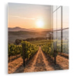 Wijngaard - Zonsondergang - Landschap plexiglas 5mm klein -zzzproduct_nieuw