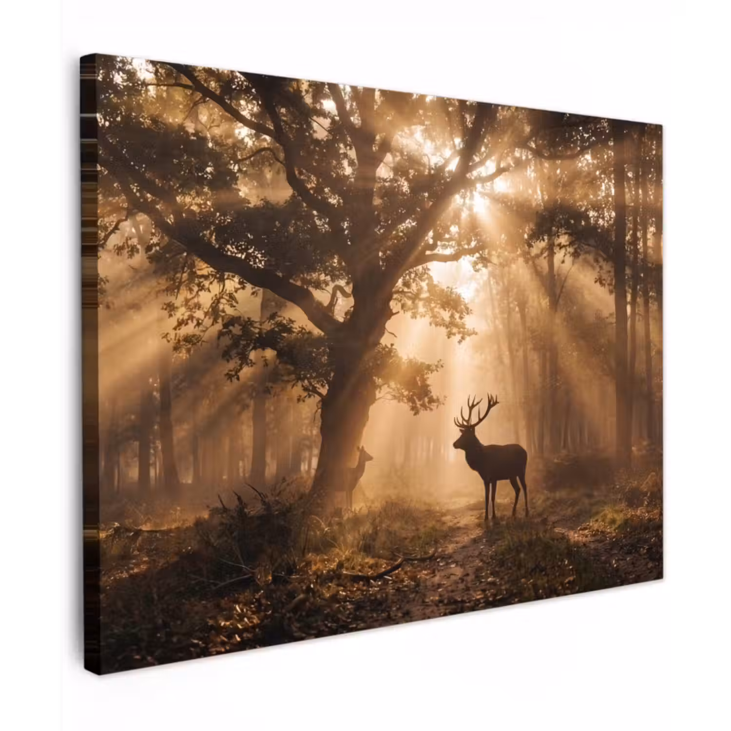 Canvas Print - Deer - Forest - Misty - Nature - Gold