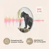 Panter - Zwart - Abstract - Goud Akoestische PET Vilt - Rond klein -USP_NL