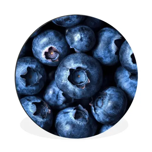 Bessen - Blauw - Fruit Wandcirkel aluminium klein -3d