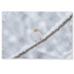 Vogeltje - Sneeuw - Tak - Winter - Zacht Deurmat klein -zkaufland3d