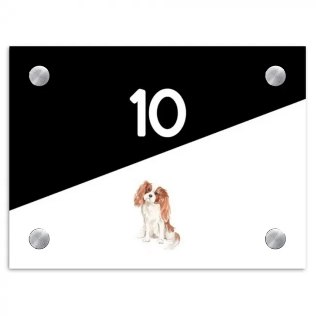 Naambordje voordeur rechthoek - Zwart wit - Huisdier - Cavalier King Charles Spaniël