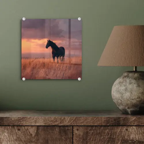 Paard - Wolken - Open veld plexiglas 5mm klein -sfeer3