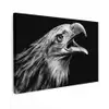 Adelaar - Portret - Roofvogels - Zwart - Wit - Vogel canvas 2cm klein -z3d