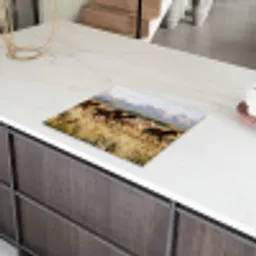 Paarden - Kudde - Bergen - Vrijheid - Wild Inductie beschermer vinyl 3mm middel -sfeer8