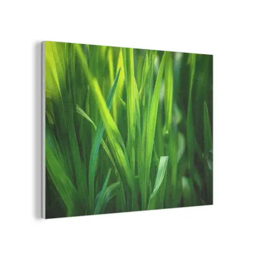 Grassprieten - Lichtinval - Groen PET vilt klein -3d