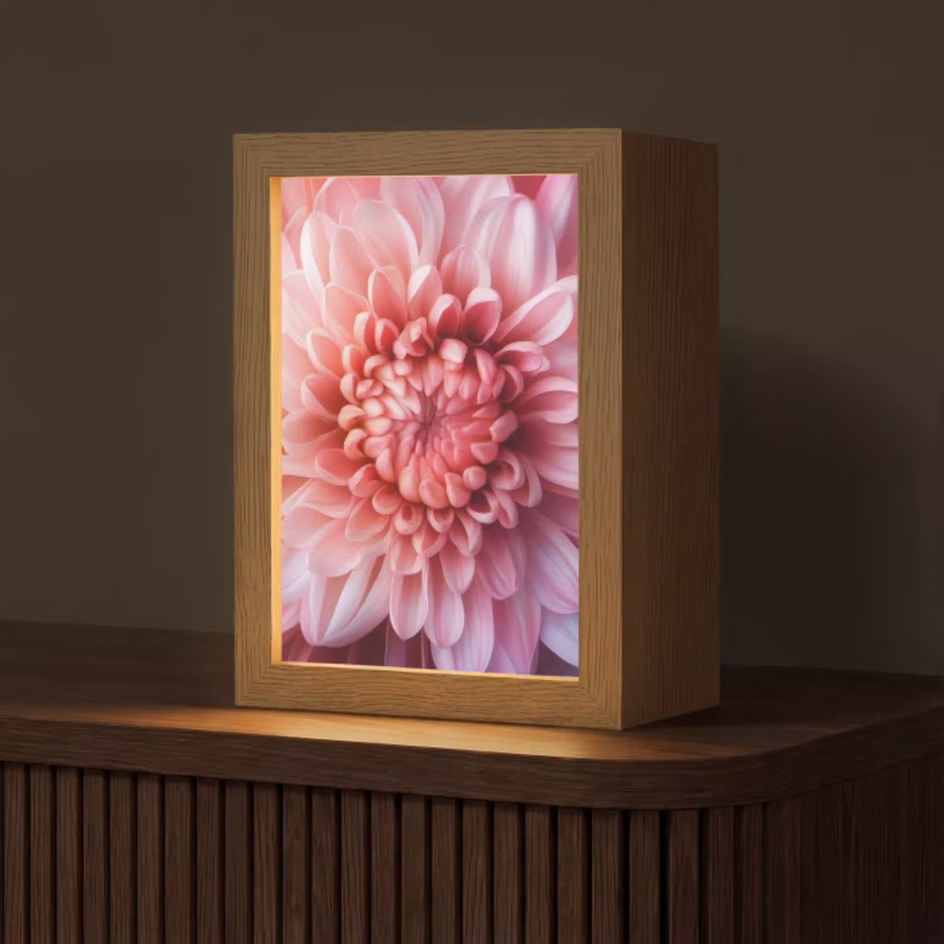 Dahlia - Bloem - Close up - Roze Light Box met kabel (Tafellamp) klein -z3d_website