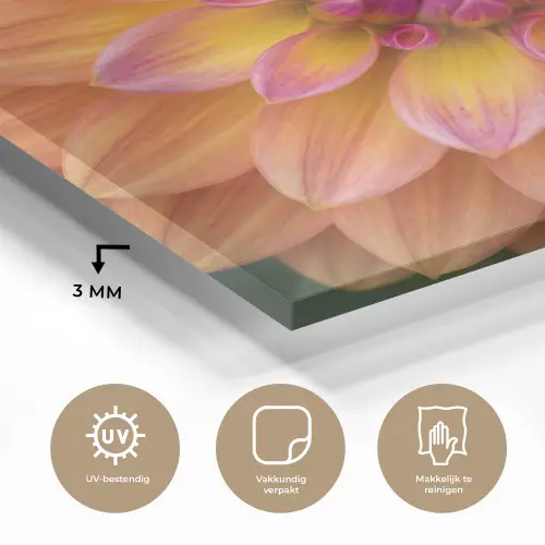 Dahlia - Bloem - Oranje plexiglas 5mm klein -sfeer2