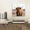 Schotse hooglander - Landschap - Koe - Bruin - Dieren - Natuur plexiglas 5mm klein -sfeer1